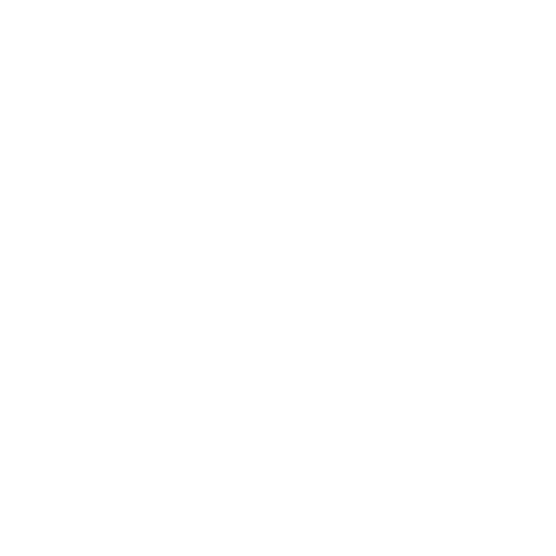 plane icon